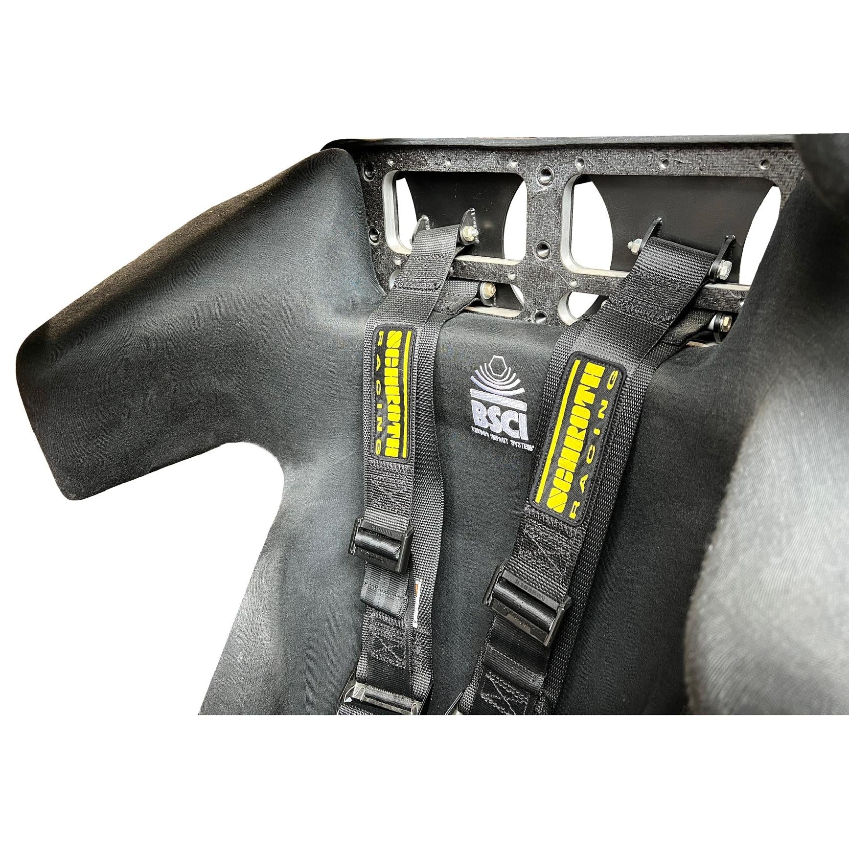 Schroth Profi II SFI 16.6